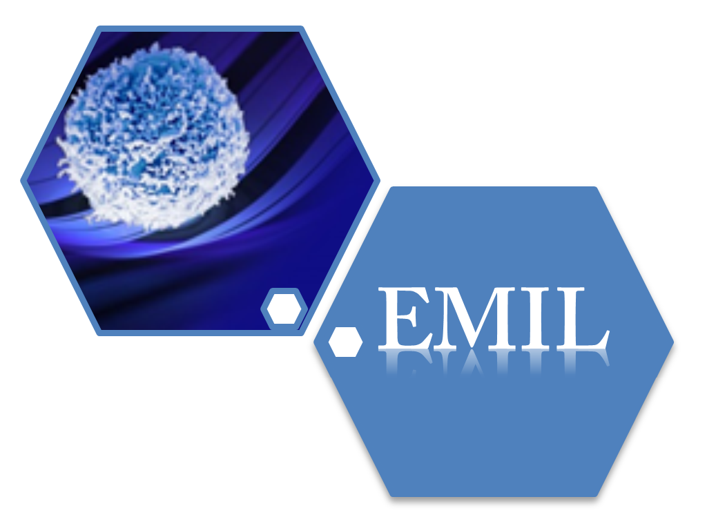 logo sintetico EMIL
