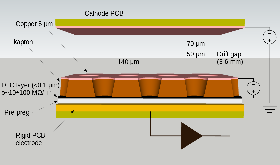 X-section_label(1)