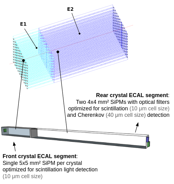 module_cell_image