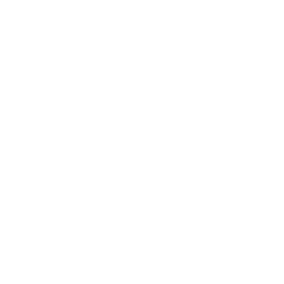 vai alla pagina Linkedin di INFN