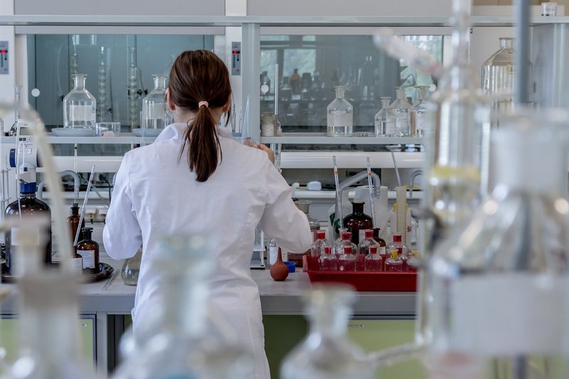Apparato per alloggiare organismi animali in una condizione ipotermica e ipometabolica controllata e reversibile