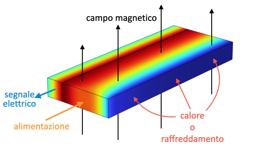 Sensore innovativo per il monitoraggio di temperatura e campo magnetico​