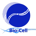 bio cel logo