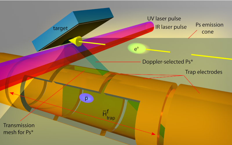 figure1b.jpg