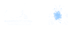 loghi incontri di fisica idf2025 nobg