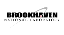 bnl logo (1)